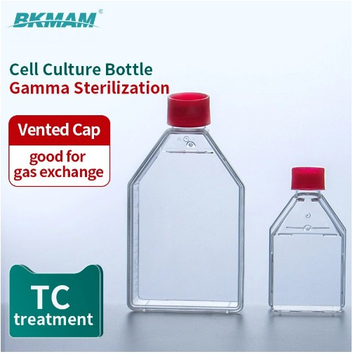 tissue culture