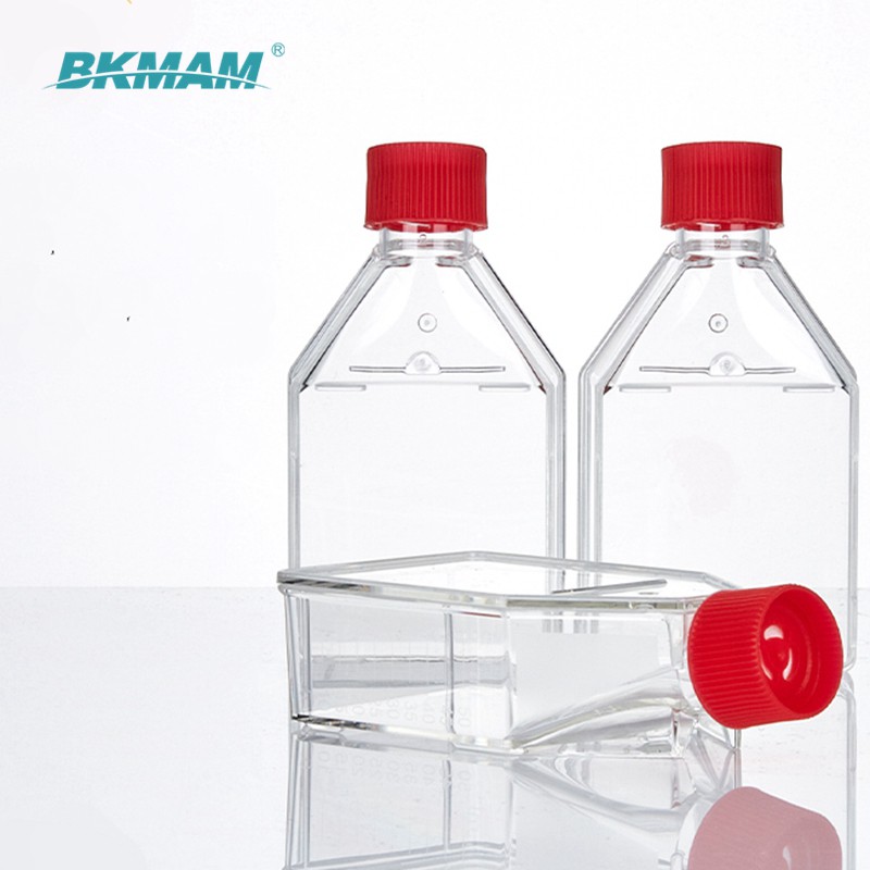 cell culture flask 