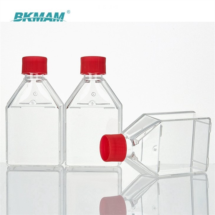Transparent Sterile TC Treated Cell And Tissue Culture Flask T75